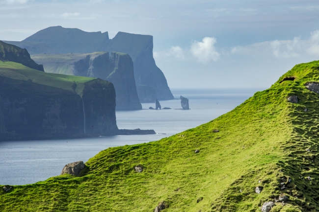 Faroe Adaları’nın kameraman koyunları